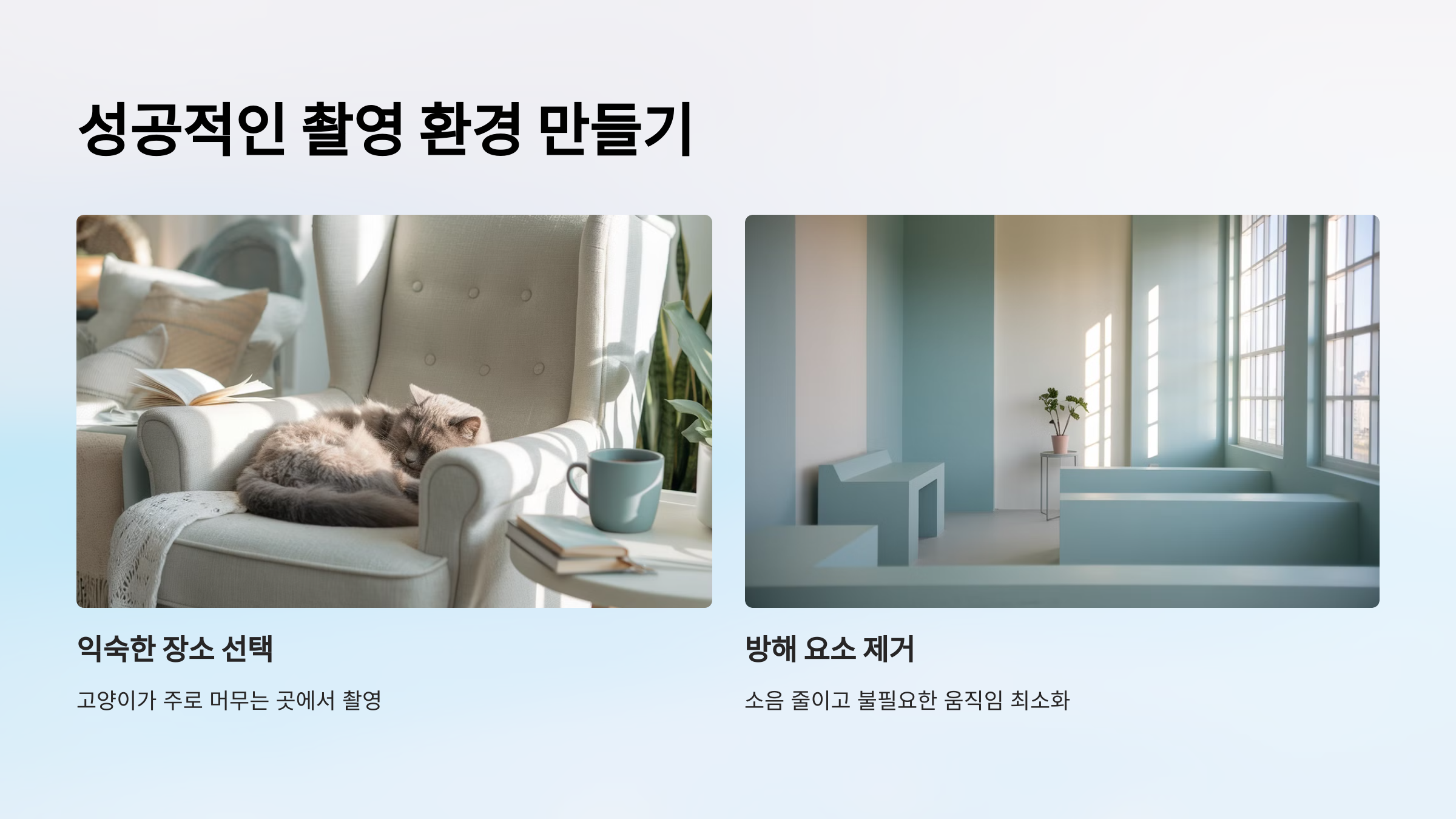 성공적인 촬영 환경 만들기