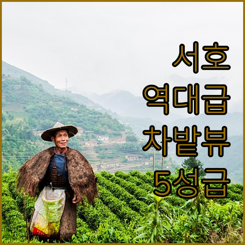 항저우 서호 숙소 추천 리스트 5성급..