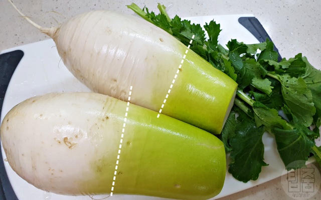맛있는 무 고르는 법, 바람든 무 구별법, 깍두기 김장 김치, 생활 팁줌 매일꿀정보