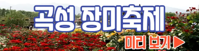 곡성 장미축제 보기