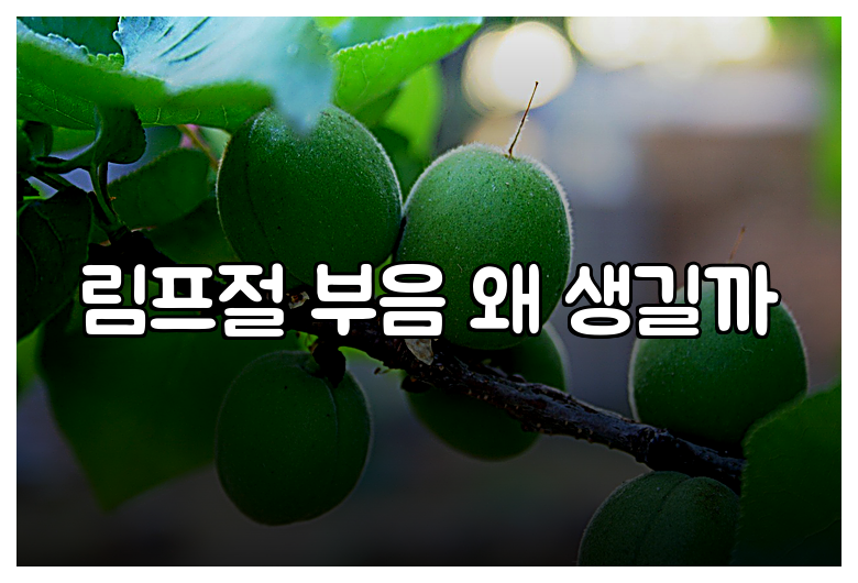 림프절 부음 왜 생길까