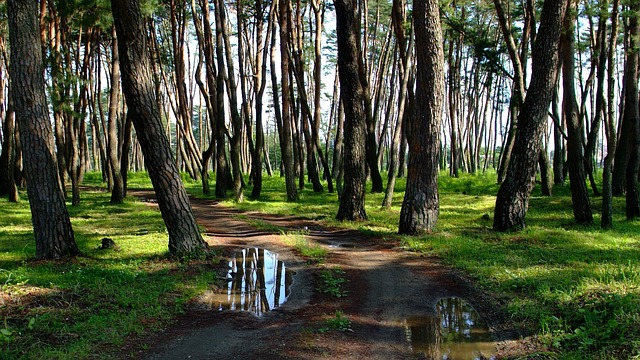 강릉 가볼만한곳 베스트10