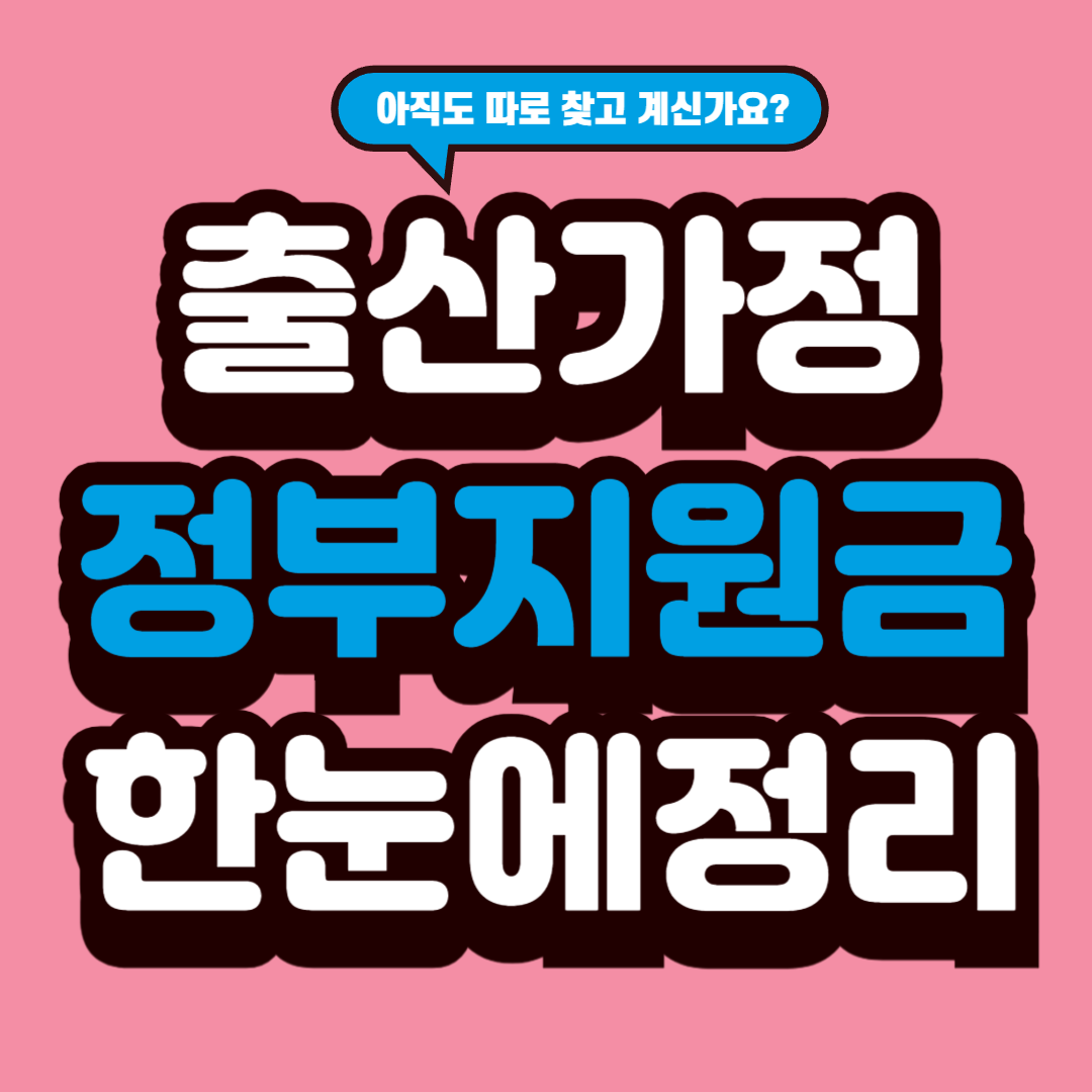 출산가정 정부지원금 한눈에 정리