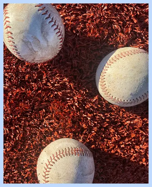 프리미어12 중계방송 바로보기