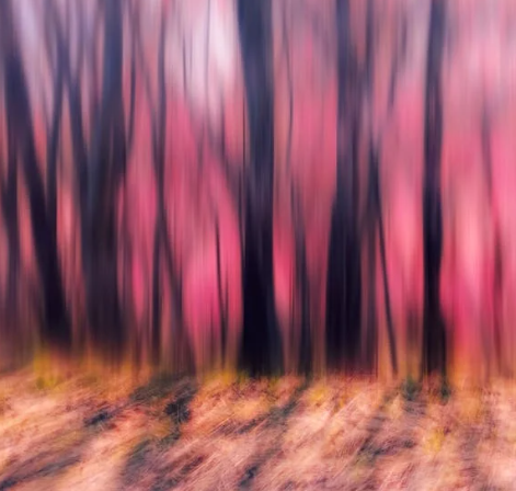 추상적으로 흐려진 붉은빛 숲 이미지, 인식과 무의식의 경계를 상징하는 시각적 효과