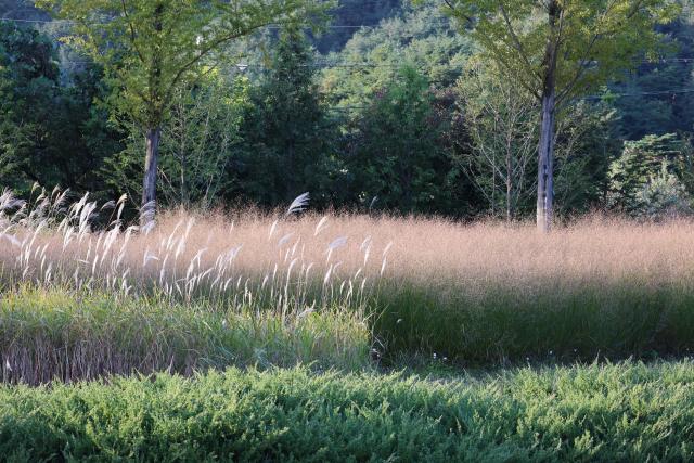 국립 백두대간수목원