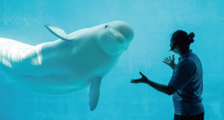 거제 씨월드 관람