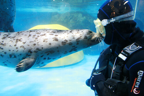 코엑스 아쿠아리움