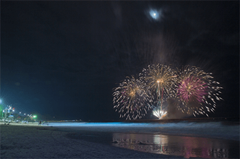 보령머드축제 사진