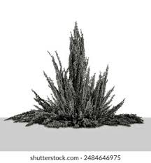 철분을 먹을 때 주의할 점