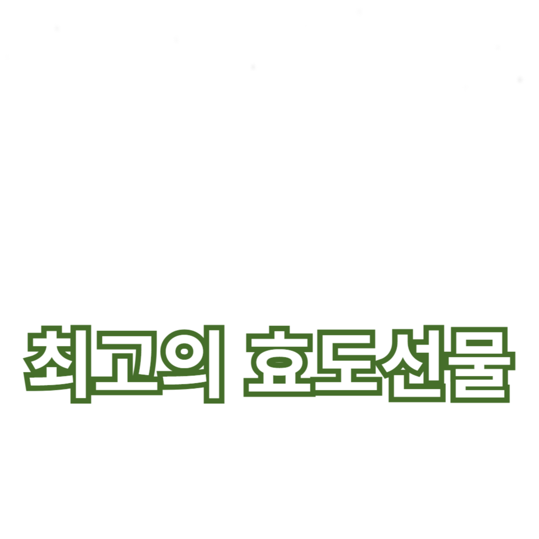 부모님 건강을 위한 최고의 효도선물: 건강식품과 마사지기