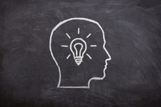 뇌와 의사결정: 결정 프로세스의 신경과학적 이해