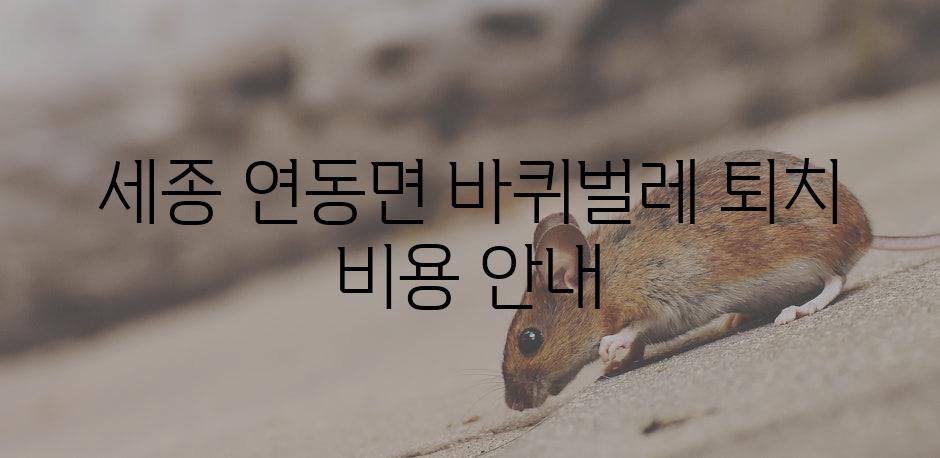 세종 연동면 바퀴벌레 퇴치 비용 안내