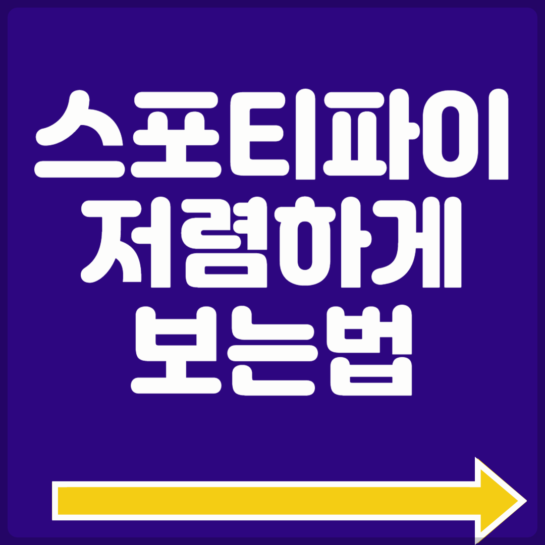 스포티파이 가격