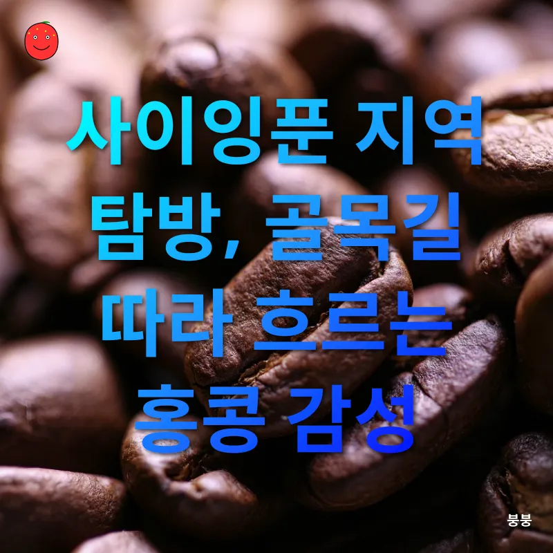 카페 탐방_2