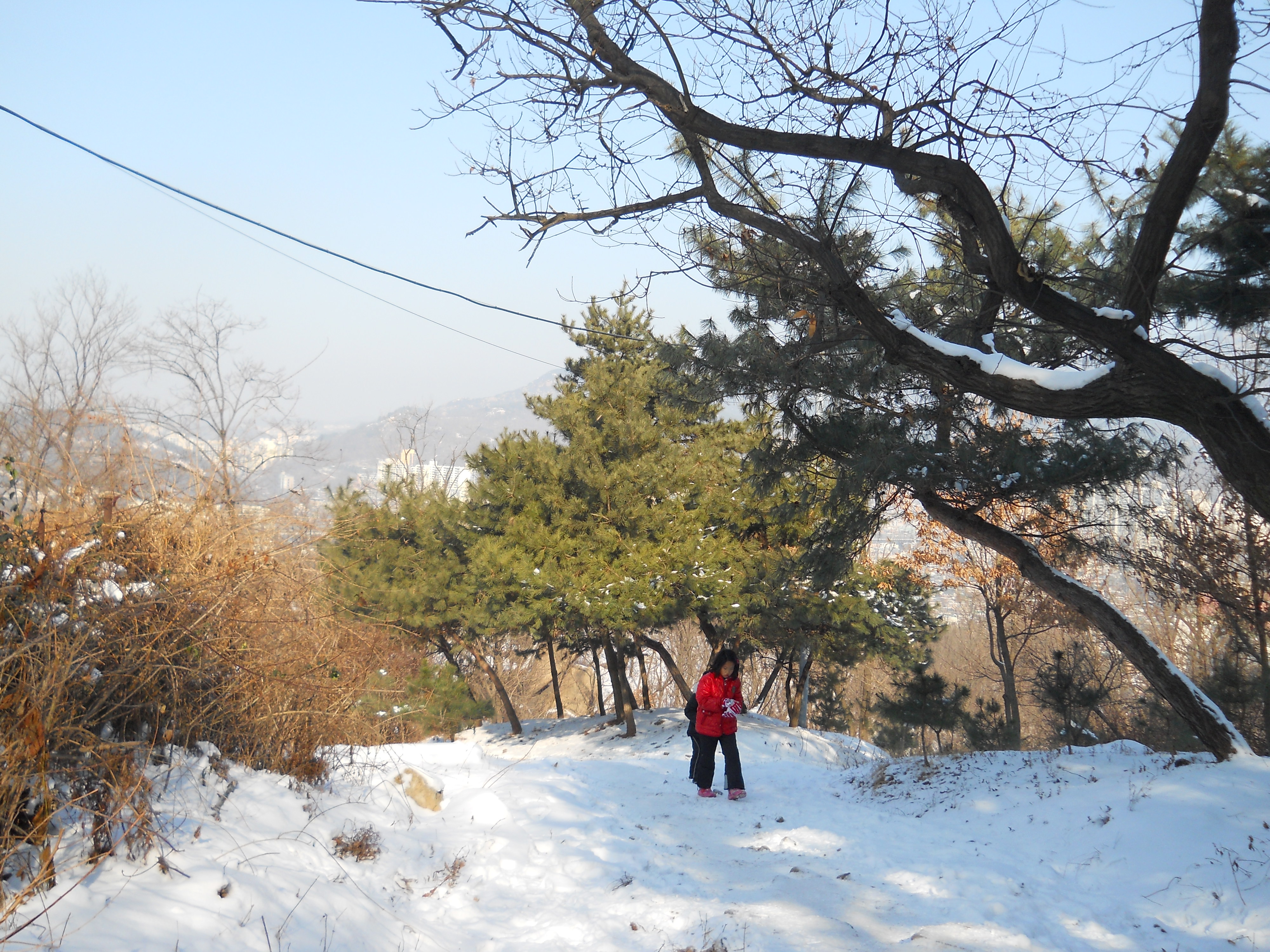 즐거운 안산자락길(Ansan Jarakgil)