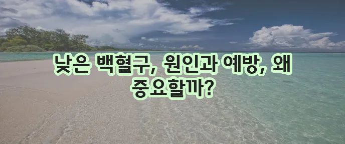 백혈구 수치가 낮은 이유와 예방이 중요합니다.
