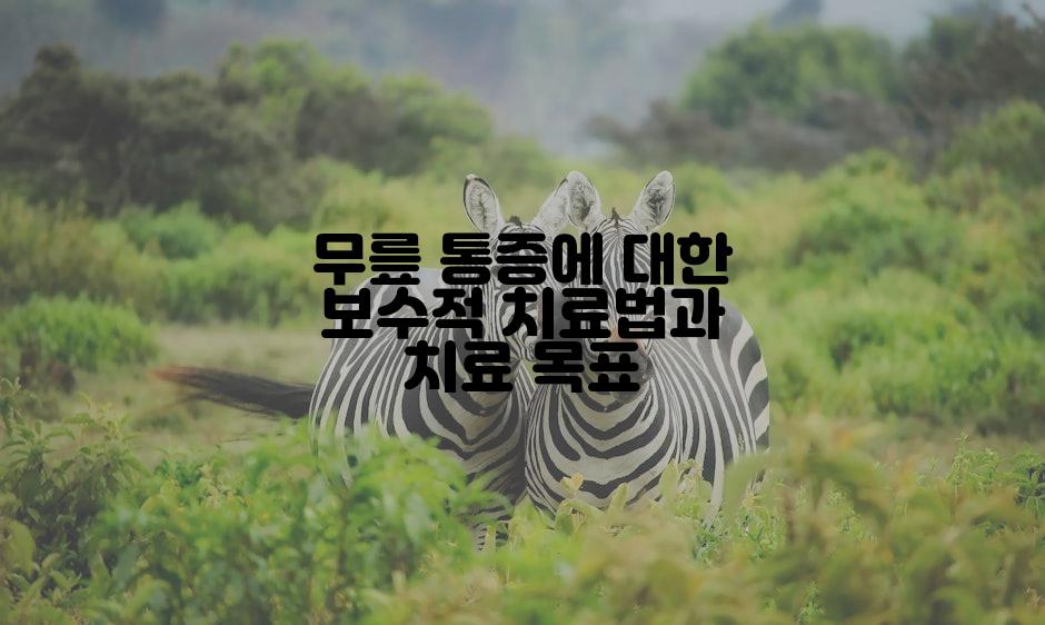 무릎 통증에 대한 보수적 치료법과 치료 목표