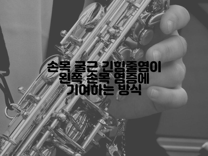 손목 굴근 긴힘줄염이 왼쪽 손목 염증에 기여하는 방식