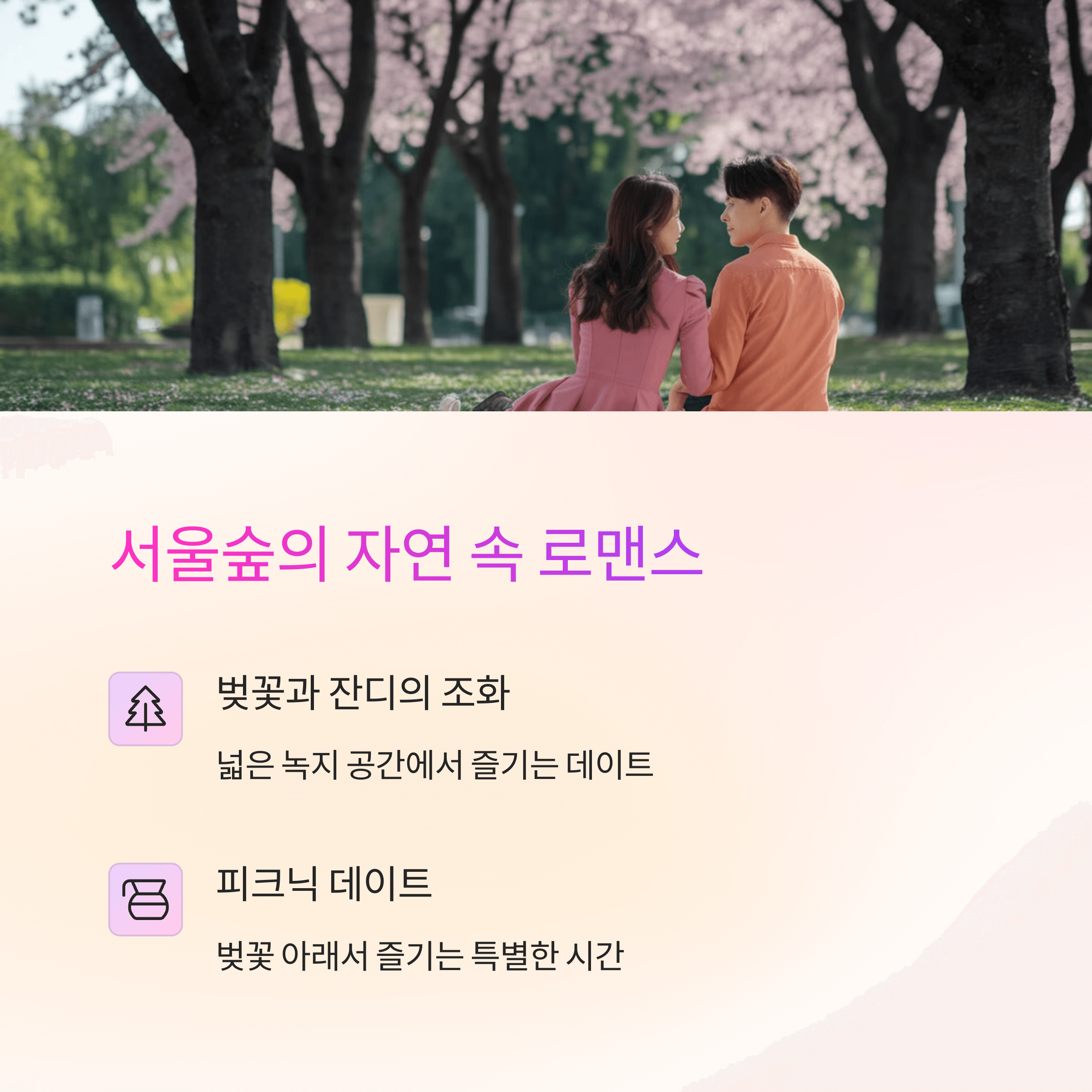 벚꽃 데이트 코스 추천&amp;#44; 로맨틱한 하루를 위한 완벽 가이드