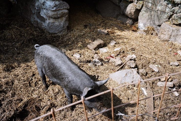 제주도 가볼만한곳 10곳