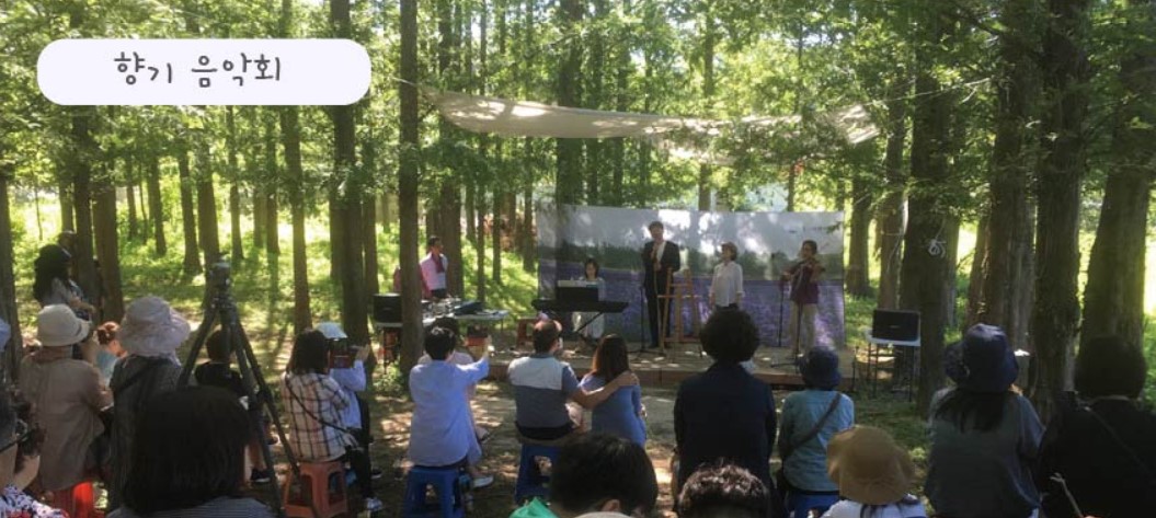 고성 라벤더축제 향기음악회