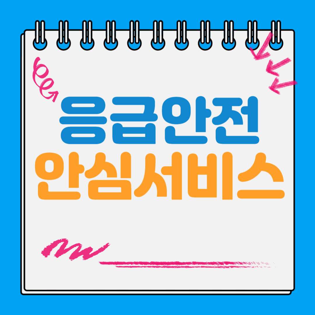 응급안전안심서비스