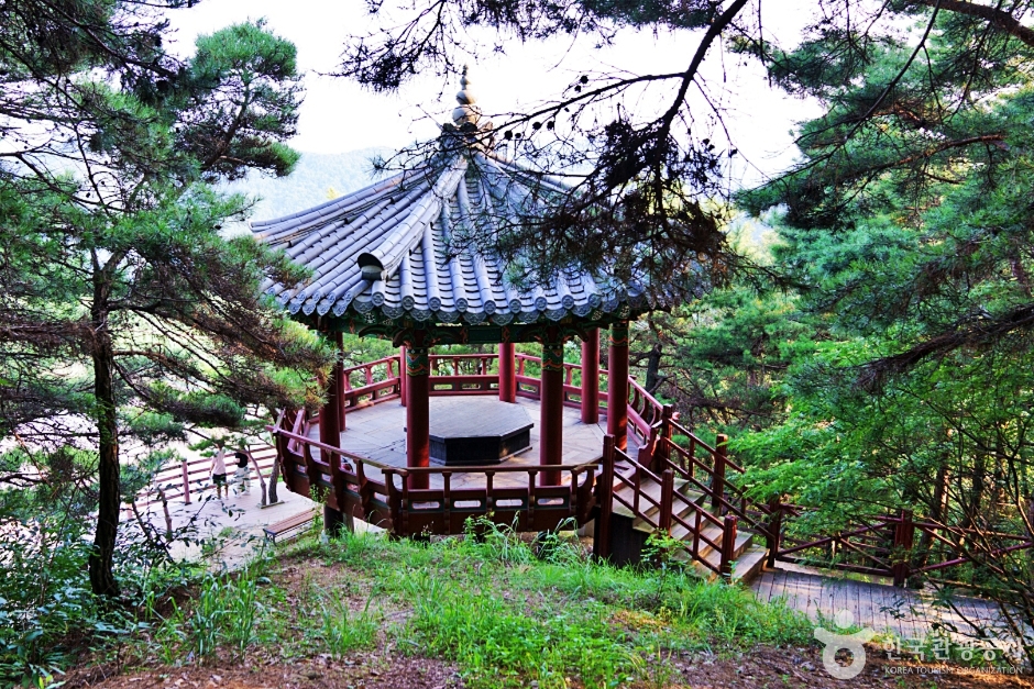 예천 가볼만한곳 베스트10