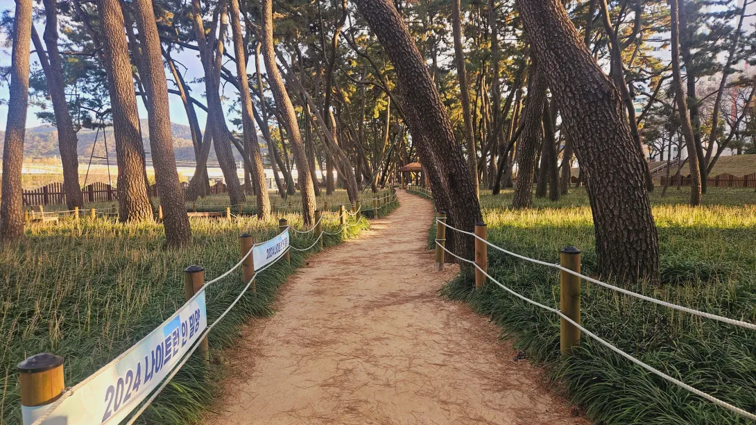 밀양 맥문동 맨발걷기