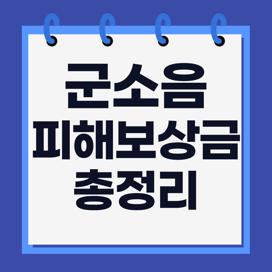 군소음피해보상금