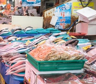 부산 가볼만한곳 베스트10