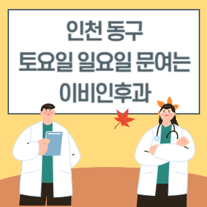 인천 동구 토요일 일요일 이비인후과 진료 병원 리스트