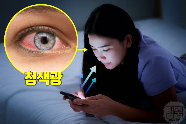 토마토효능 토마토 매일 먹으면 시력