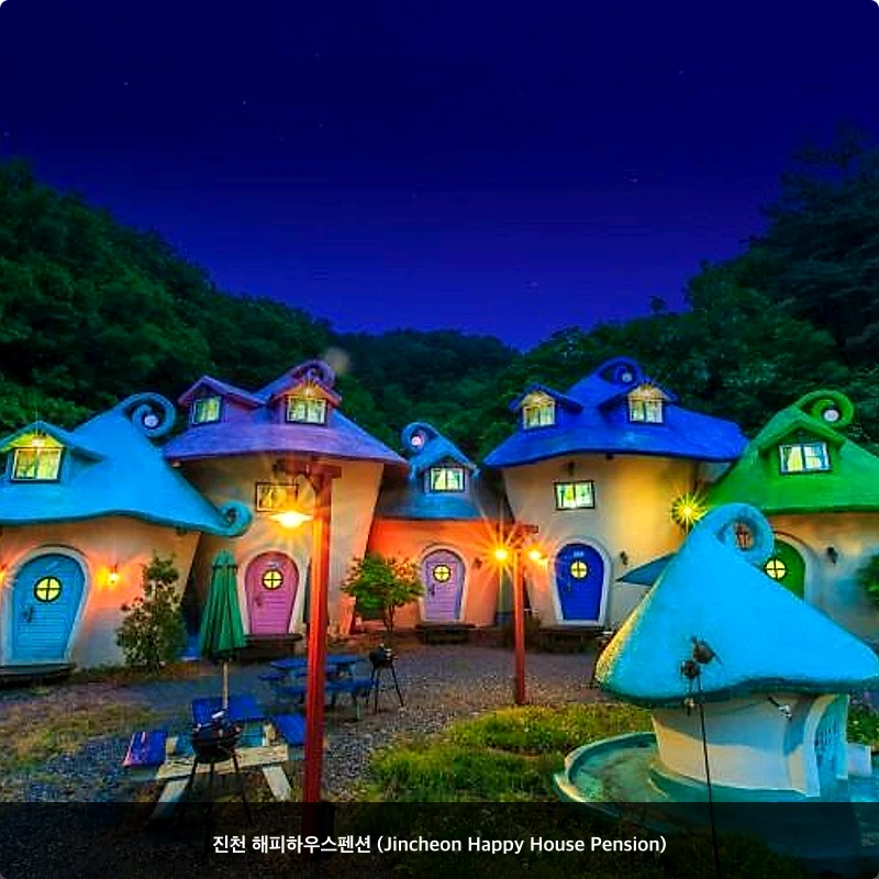 진천 해피하우스펜션 (Jincheon Happy House Pension)_3