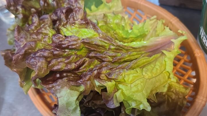 회포풀자-밑반찬-상추