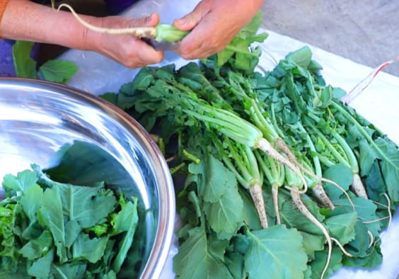 열무김치 손질하는 인포그래픽