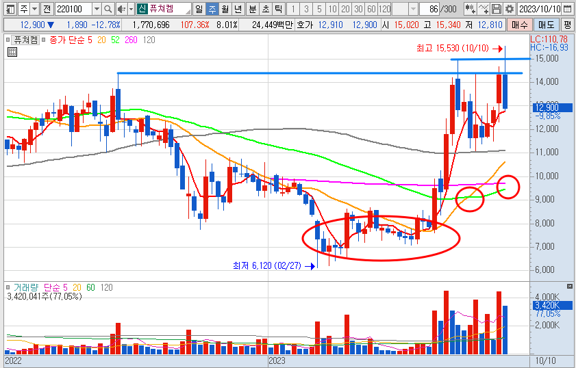 퓨쳐켐 주봉 차트