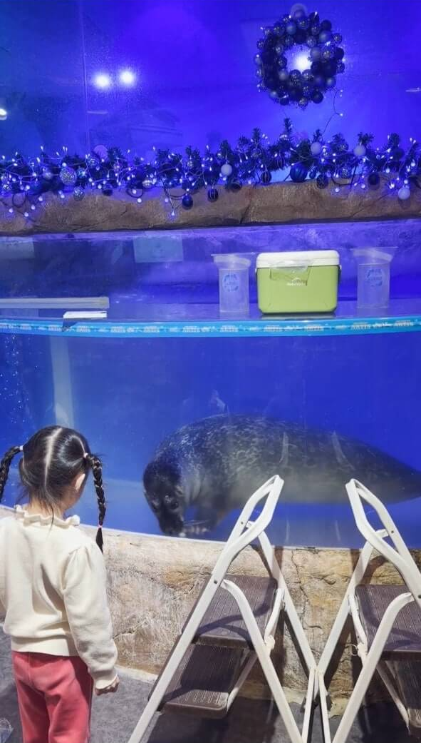 동탄 아르티스테마파크