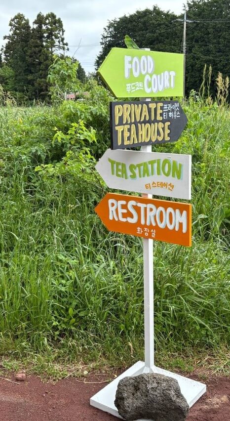 2025 와일드 오차드 티 페스티벌, 제주 자연 속에서 차 한 잔의 여유!