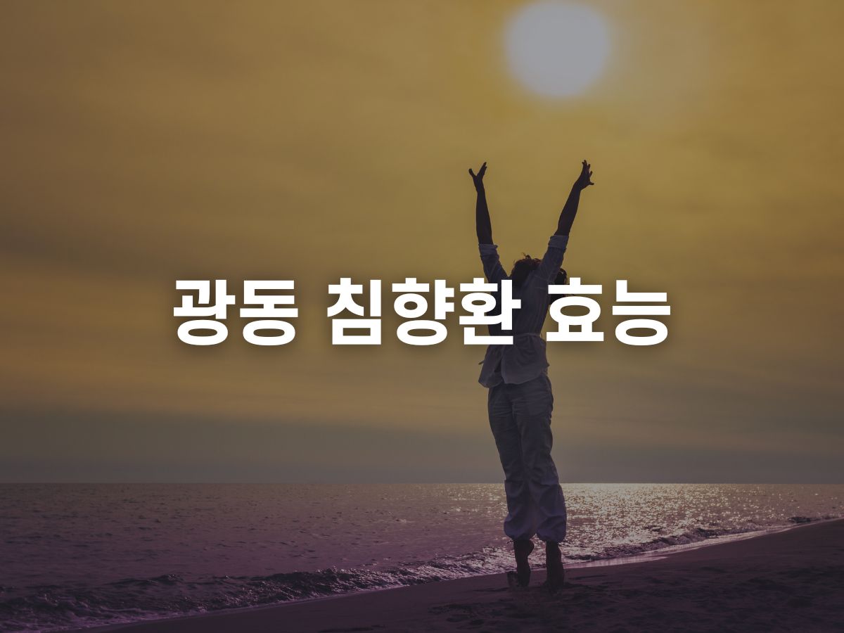 광동 침향환 효능