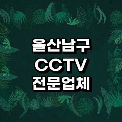 울산 남구 cctv