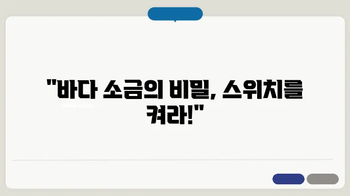 바다 소금 스위치 설치법