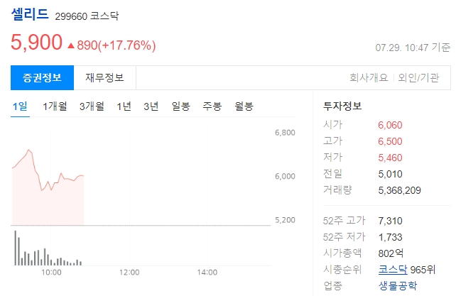 셀리드 주가
