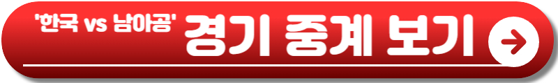 남아공전