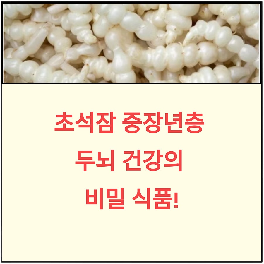 초석잠이 치매에 예방에 좋은 이유