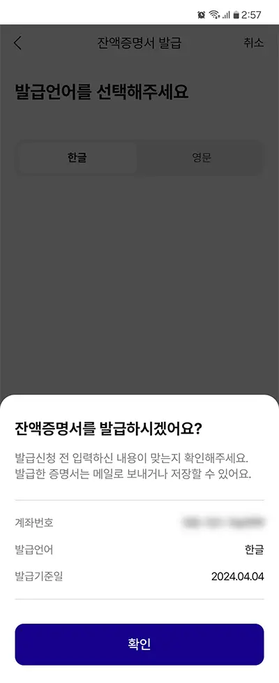 잔액증명서 발급