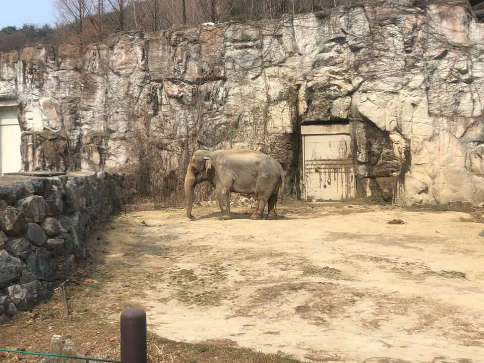 대전 오월드