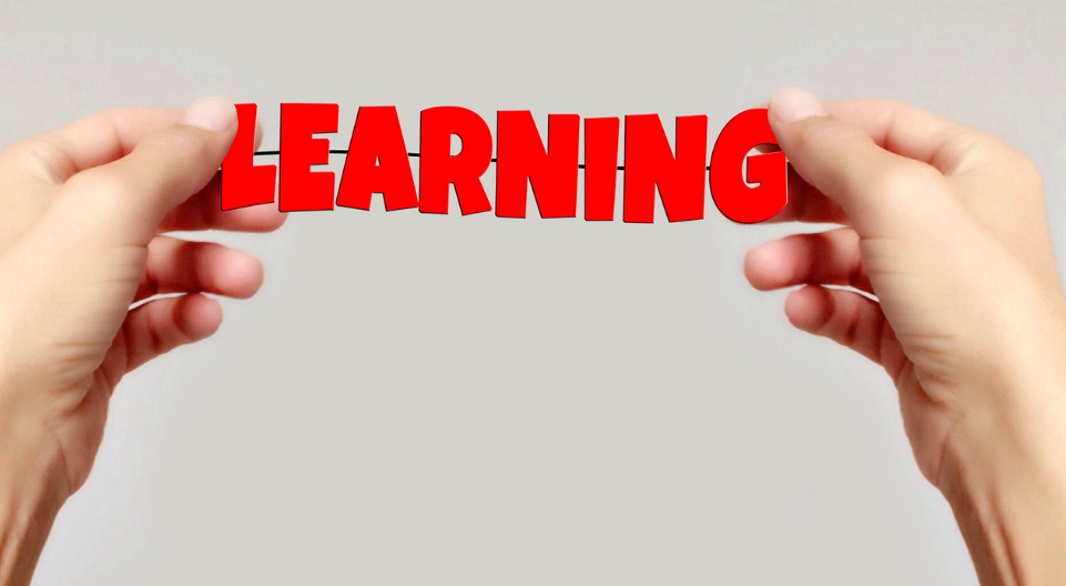 배움을 나타내는 이미지