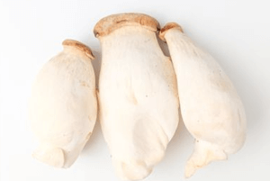 새송이버섯 효능04