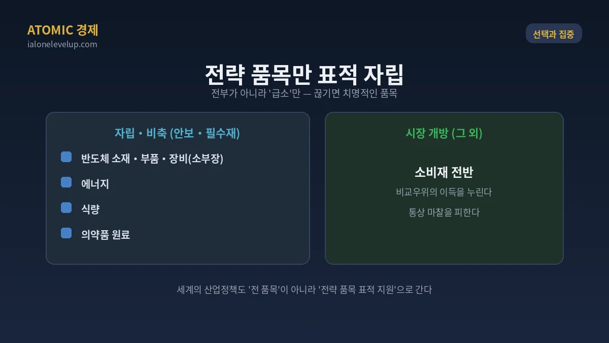 선택과 집중 전략 품목만 표적 자립 반도체 소부장 에너지 식량 의약품 원료 안보 필수재 소비재는 개방